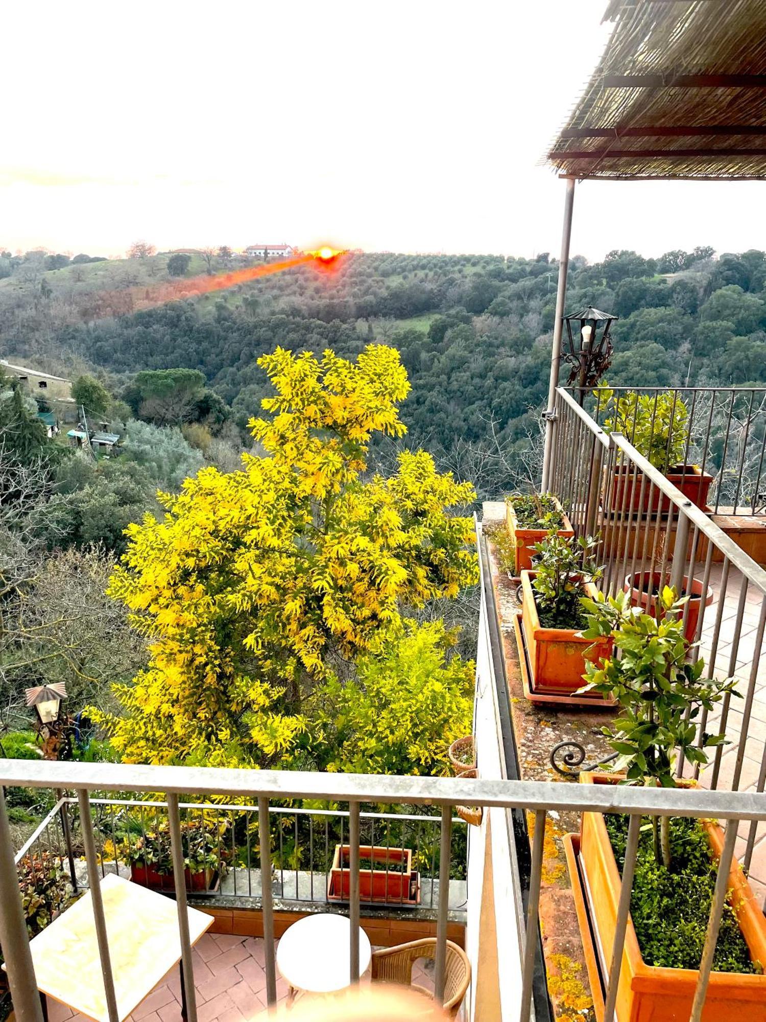 Ghigo La Locanda Di Torquato Montorgiali エクステリア 写真